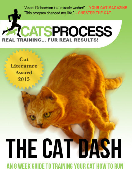 The Cat Dash: An 8 Week Guide