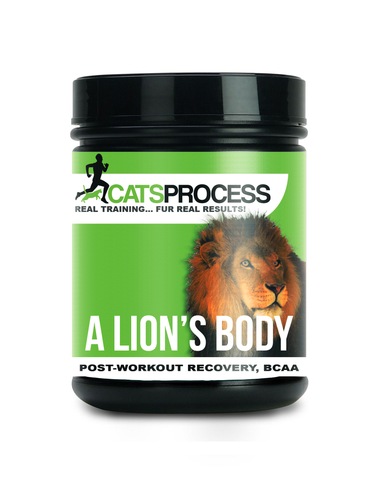 A LIONS BODY (POST-WORKOUT RECOVERY, BCAA)