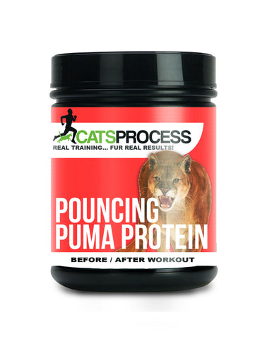 POUNCING PUMA PROTEIN (BEFORE/AFTER WORKOUT)