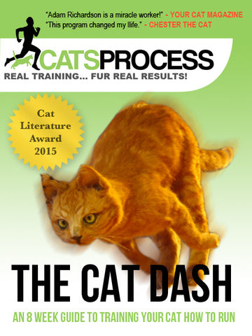 The Cat Dash: An 8 Week Guide